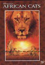 ยอดนักล่าแห่งแอฟริกา (โซน 3)